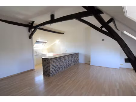 location appartement 3 pièces 60.65 m² à pontlevoy (41400)  495 €
