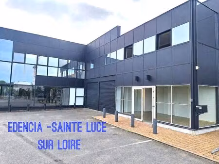 immobilier professionnel à vendre sainte-luce-sur-loire
