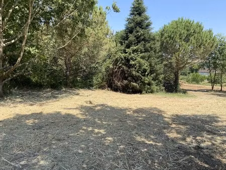 proche albi terrain constructible 1800 m²