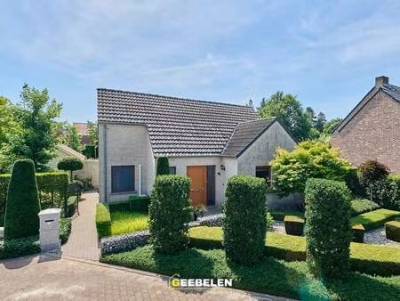 maison à vendre à lommel € 395.000 (lpth9) - geebelen vastgoed | zimmo