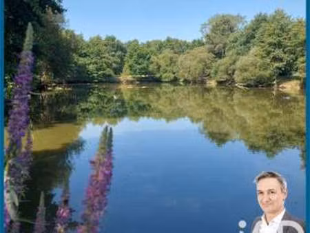 vente terrain à sèvremoine (49450) : à vendre / 8200m² sèvremoine