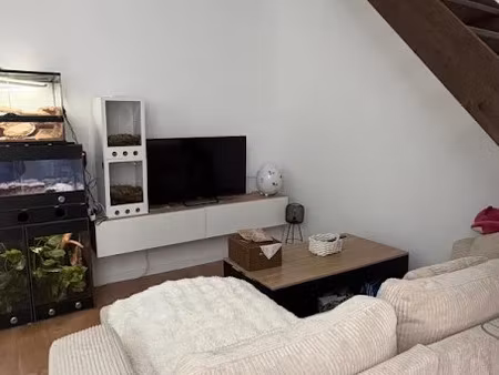 location duplex 2 pièces 45 m² à dechy (59187)  650 €