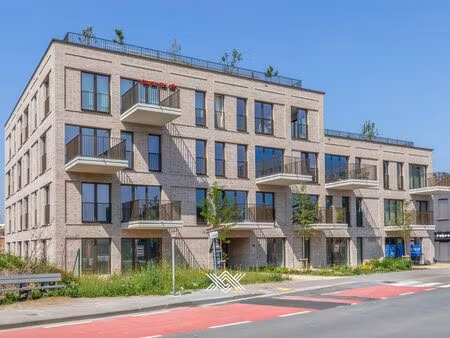 appartement à louer à deinze € 795 (lptkc) | zimmo