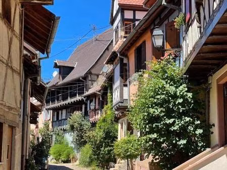 maison à louer