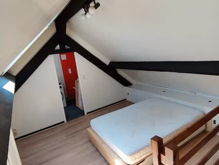 duplex meublé 51m2 au sol zola/mélinet