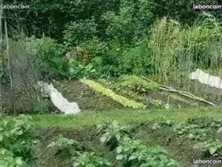 location jardin