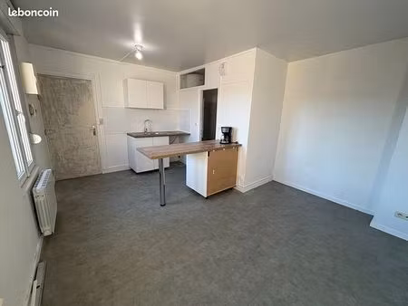 studio 1 pièce 20 m²