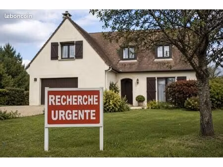 recherche de logement