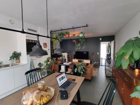 appartement à louer à dendermondse steenweg 300 gand (rwc42944)