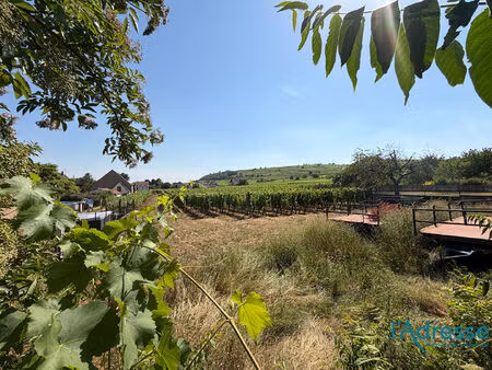 vente terrain  423.00m²  bennwihr