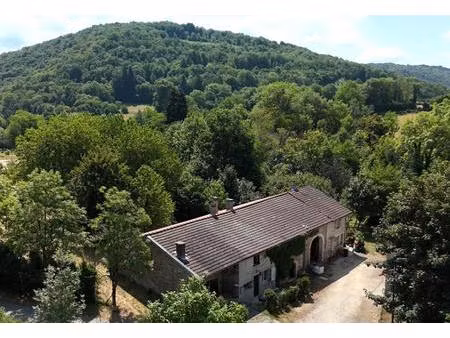 maison de caractère en pierre avec dépendances et 4104 m² de terrain attenant - germagnat 