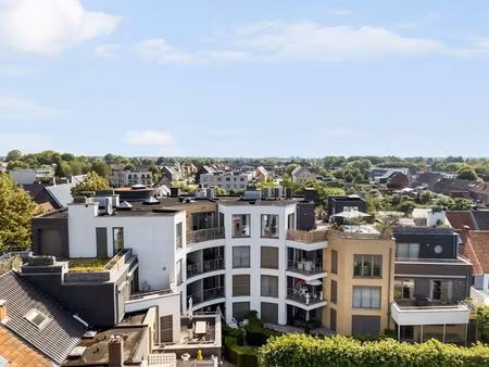 appartement à vendre à turnhout € 1.295.000 (lptp7) - hillewaere turnhout | zimmo