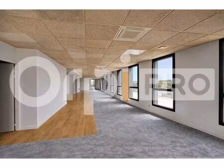 vente bureaux 250 m²