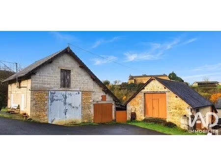 maison à terrasson-lavilledieu (24120)