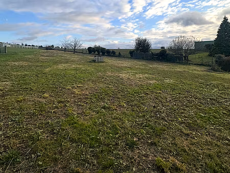 terrain bellegarde marsal 2346 m2
