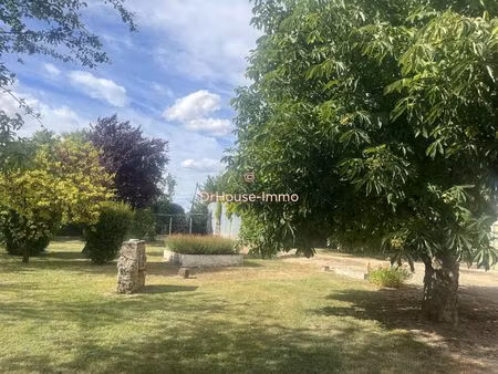 ensemble immobilier à fort potentiel - massognes (86)