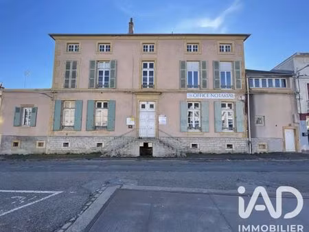 immeuble à dompierre-sur-besbre (03290)