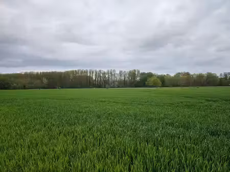land te koop