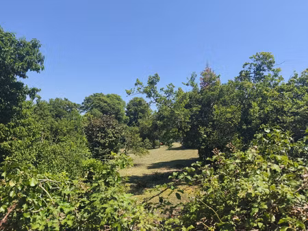 vente terrain 706 m² chaillevette (17890)