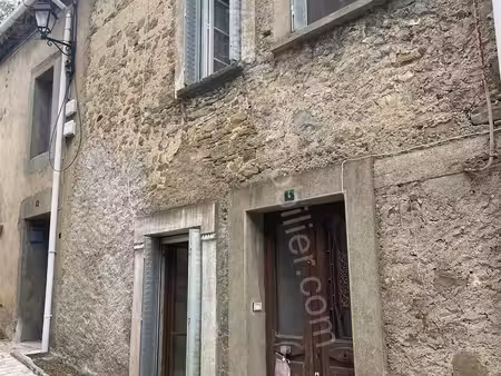 maison de village en pierre avec terrasse et jardin