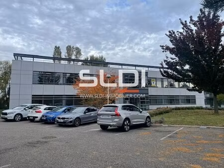 location local professionnel 318m² st priest 69800