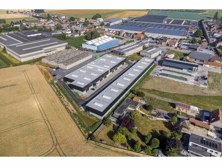 commercieel te koop in sint-baafs-vijve