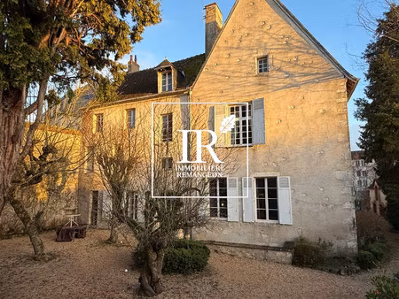 achat maison 12 pièces 400m² mehun sur yevre 18500