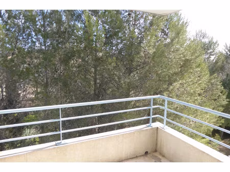 location appartement 3 pièces 55 m² à montpellier (34000)