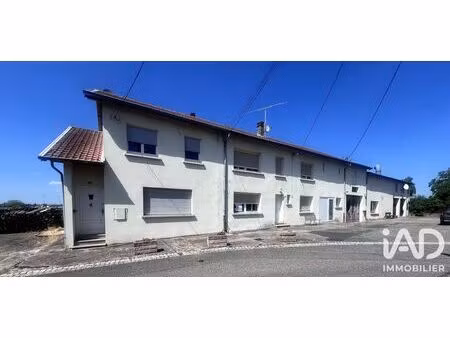 maison de village à insming (57670)