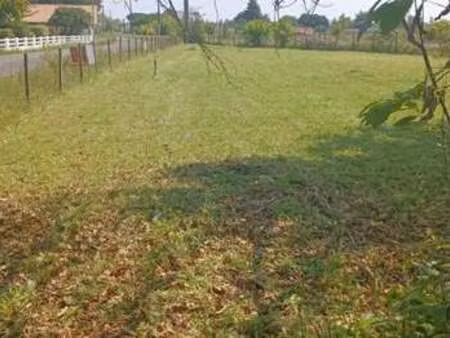 vente terrain à saint-magne-de-castillon (33350) : à vendre / 1171m² saint-magne-de-castil