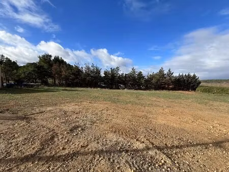 terrain