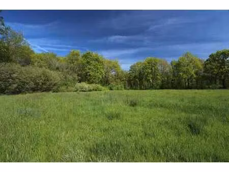 à vendre: terrain ouvert en milieu rural