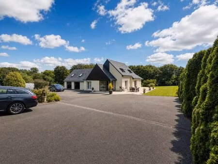 bodilis (29400) a vendre maison f5 - 132 m² - 4316 m² de terrain