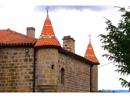 château le puy-en-velay - 10 chambres - 1000m²
