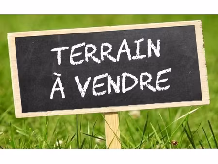 terrain