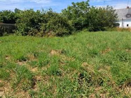 vente terrain à saint-lyphard (44410) : à vendre / 422m² saint-lyphard