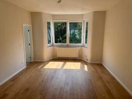 appartement 1 chambre entièrement rénové.