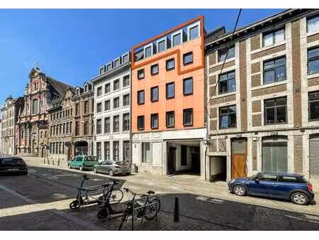 duplex 4 chambres – rue hors château 33
