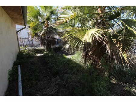 vente commerce 3 pièces 75 m² saint-louis-de-montferrand (33440)