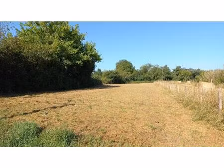 vente terrain 1151 m² eyrans (33390)