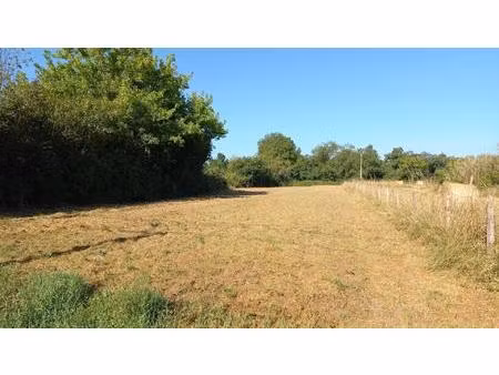 terrain constructible