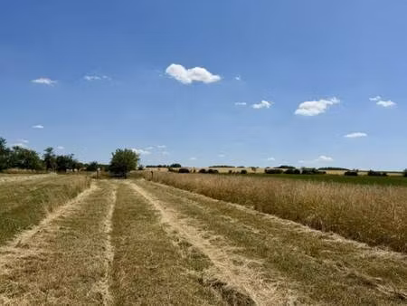 vdb immobilier