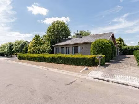 maison à vendre à hamont € 363.000 (lpt9o) - 't huys vastgoed | zimmo