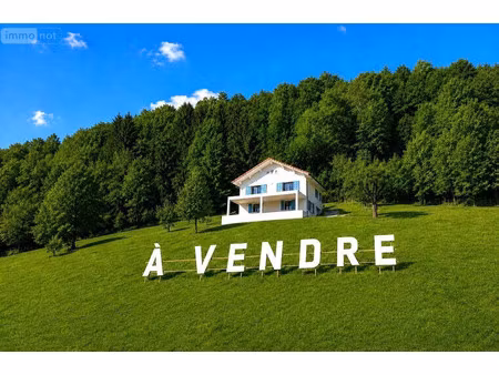 maison de luxe à vendre à aiguebelette-le-lac