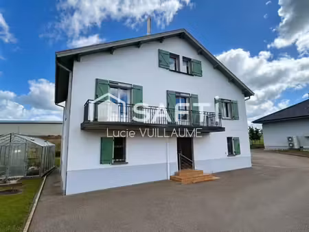 maison et hangar xxl : un bien rare à bult 88700