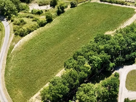 vente terrain 5 000 m²