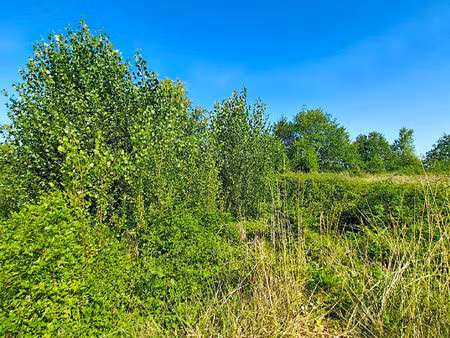 terrain monclar de quercy 305 m2