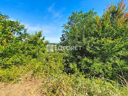 terrain monclar de quercy 3513 m2