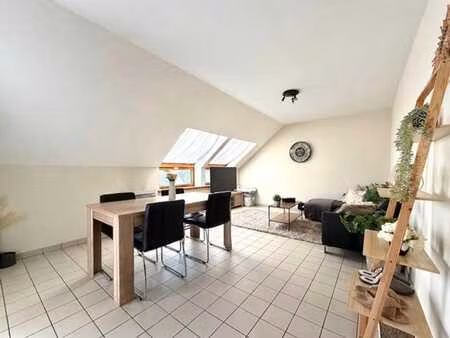 bel appartement à deux pas du parc de la plante  du centre e