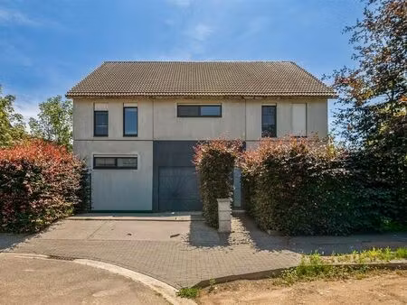 maison à vendre à blaasveld € 895.000 (lpu24) - immo vercammen | zimmo